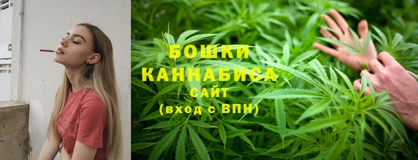 бошки Саяногорск