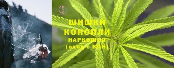 PSILOCYBIN Сатка