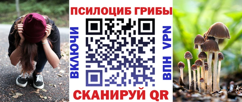 как найти закладки  ссылка на мегу ССЫЛКА  Псилоцибиновые грибы ЛСД  Новоульяновск 